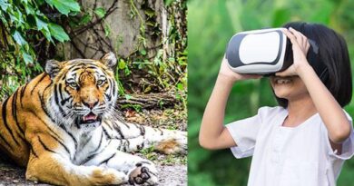virtual zoo tours for kids