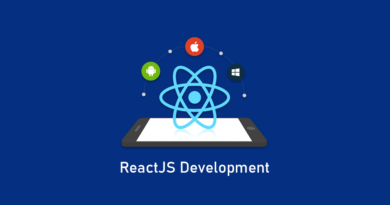 ReactJS Development Company