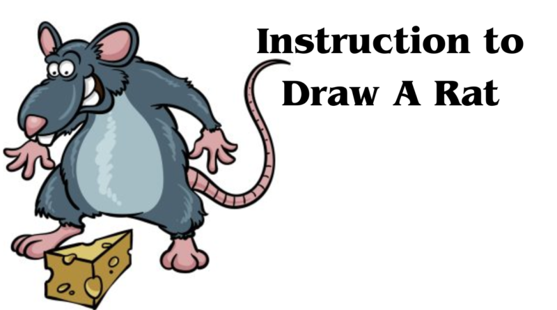 Instructions to Draw a Rat - A Bit by bit Guide
